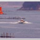 창선교 밑 이미지