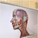 강남-288 이미지