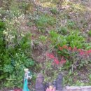 녹수와 청산의 집 이미지