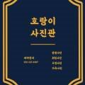 호랑이사진관 이미지
