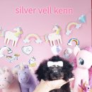 타이니켄넬 이미지