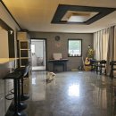 VIP 애견 이미지