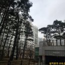 파밀리에 7단지 앞 이미지