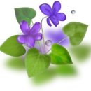 파스텔일러스트 Daum카페