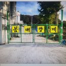 봄내양계 티스토리
