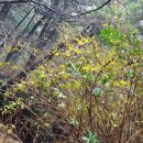 성불사길 이미지