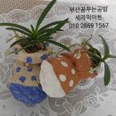 아트스톤 이미지