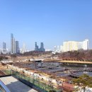 세종호수공원 제1주차장 이미지