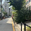 너즐비 | [서울/도산] 시눈 SINOON 매장 도산 쇼룸 반팔 착용 키작녀 후기 및 쇼룸 방문 후기