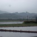 고남민박 이미지