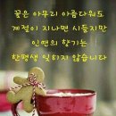 ♤홀로가는_내_삶의길♡ 이미지