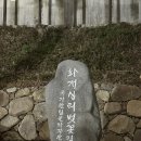 하동 벚꽃 실시간 십리벚꽃길 다녀온 후기(3.28,29)