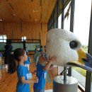 에코공원 이미지