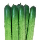 ㈜ 농우바이오 이미지