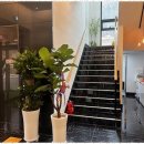 연스크린골프 이미지