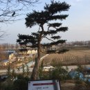 움직임으로 항해하기 | 나바위성당 – 신앙의 첫 울림을 찾아가는 순례길