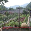 단양집민박 Daum카페