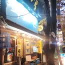 정자역 4번출구 | 분당맛집 정자역 횟집 ‘파도촌’ 방어회 모둠회 솔직 후기!