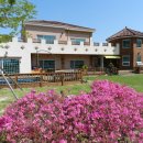 꿈이있는숲속유치원 이미지