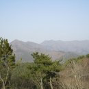 천자봉 능선을 곁에 두고! - 창원 진해구 팔봉산(251m)~뒷동산(173.2m)~고방산(129m)~사화랑산(봉화산197m)~성실봉(왜성157.3m) 이미지