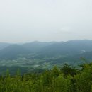 곡성-268 티스토리