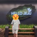 공공기관 스마트폰 사진 보정 강의 경상남도의령교육지원청