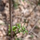 참새골약수터 이미지