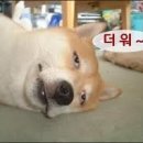 구월시장 이미지