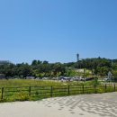 궁평항 입구 공중화장실 이미지