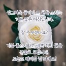 2024년06월13일(목) 출석방을 엽니다. 공연안내 (6.14~6.16) 3일간 이미지