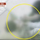 머리반장 이미지