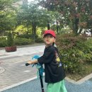 더선우유치원 | 광주 베이비하우스 | 마이크로 맥시 T 프로 디럭스 LED 블랙 내돈내산 구매후기