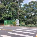 판암네거리 이미지