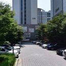 수성1가 행정복지센터 내 | 대구 대봉동 점심 맛집 카페동이 수성1가점에서 먹은 한정식 혼밥