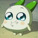 소담촌 수유점 | 수유역 샤브샤브&amp;월남쌈 맛집 소담촌