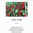 사돈네 이미지