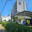 앗싸 해물칼국수 물회 | 제주도 협재해수욕장 근처 맛집 협재 칼국수에서 해물칼국수와 물회 먹은 후기