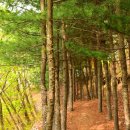 주금산 등산로 이미지