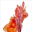 수원-0476 이미지