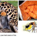 치토스