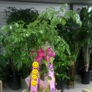 산호동223 이미지