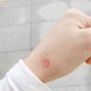 영중체육문화센터 이미지