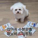수분보충에 좋은 강아지 화식 사료 페노비스 미트팡