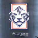[오피셜] 11월 A매치까지 임시 감독 체제 확정 / 축구협회장 선거 및 임시 감독 선발 관련 절차 승인 이미지