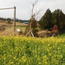 제주섬돌 이미지