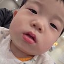 스타키즈소아청소년과의원 네이버블로그