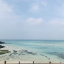 [제주도 여행 1일차] 우진해장국 - 함덕해수욕장 - 사려니숲길