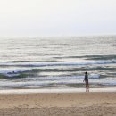 숨비소리 만리포 이미지