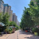 국제미용소 - 달서구 | 국제미용소