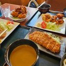 [일본/홋카이도] 삿포로 여행 비에이 맛집 인생돈까스 다이마루 추천